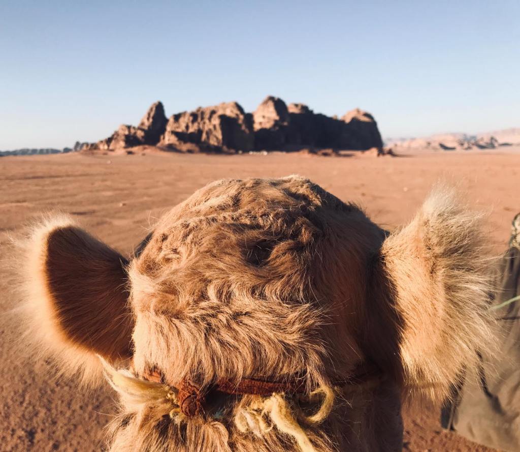 Week 25: Jordan, Pt.&nbsp;2